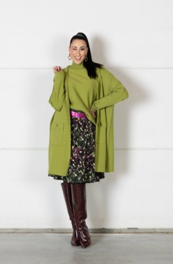 Gilet:basic.200 Pull: 222.85 Gonna: 228.09